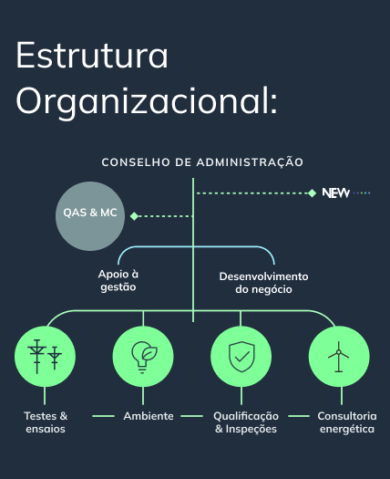 Labelec Estrutura Organizacional