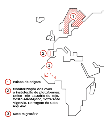 aguiapesqueira2_mapa_pt_mobile.png