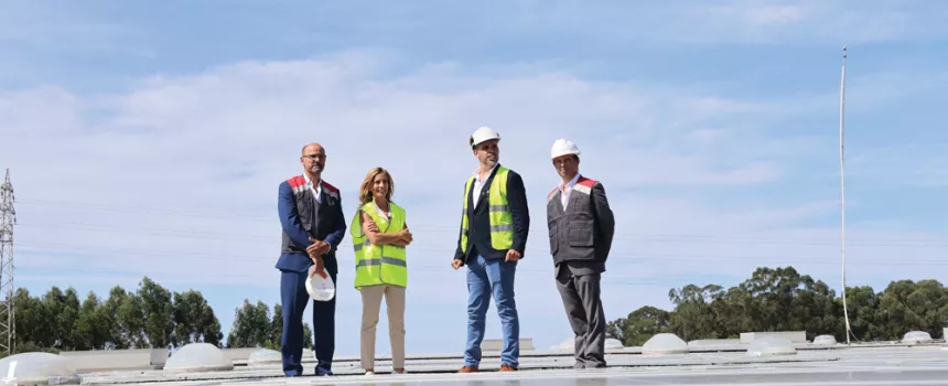 group of edp employers standing next to solar panels