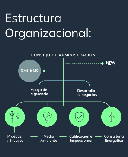 estructura organizacional de edp labelec