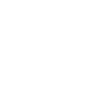 edpr-apac-icon-homepage-solar-panel.png