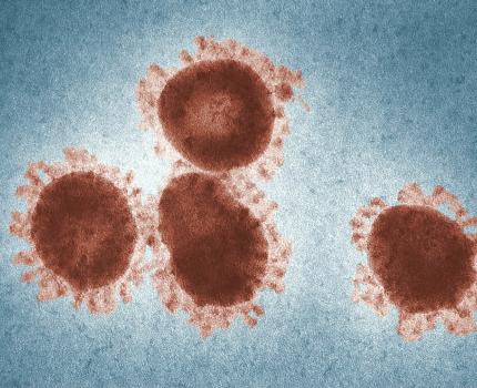 Coronavirus_1.jpg