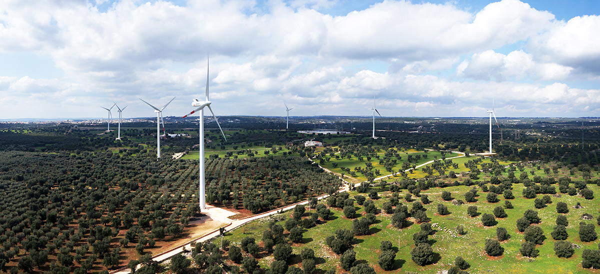 eolica-parque.jpg