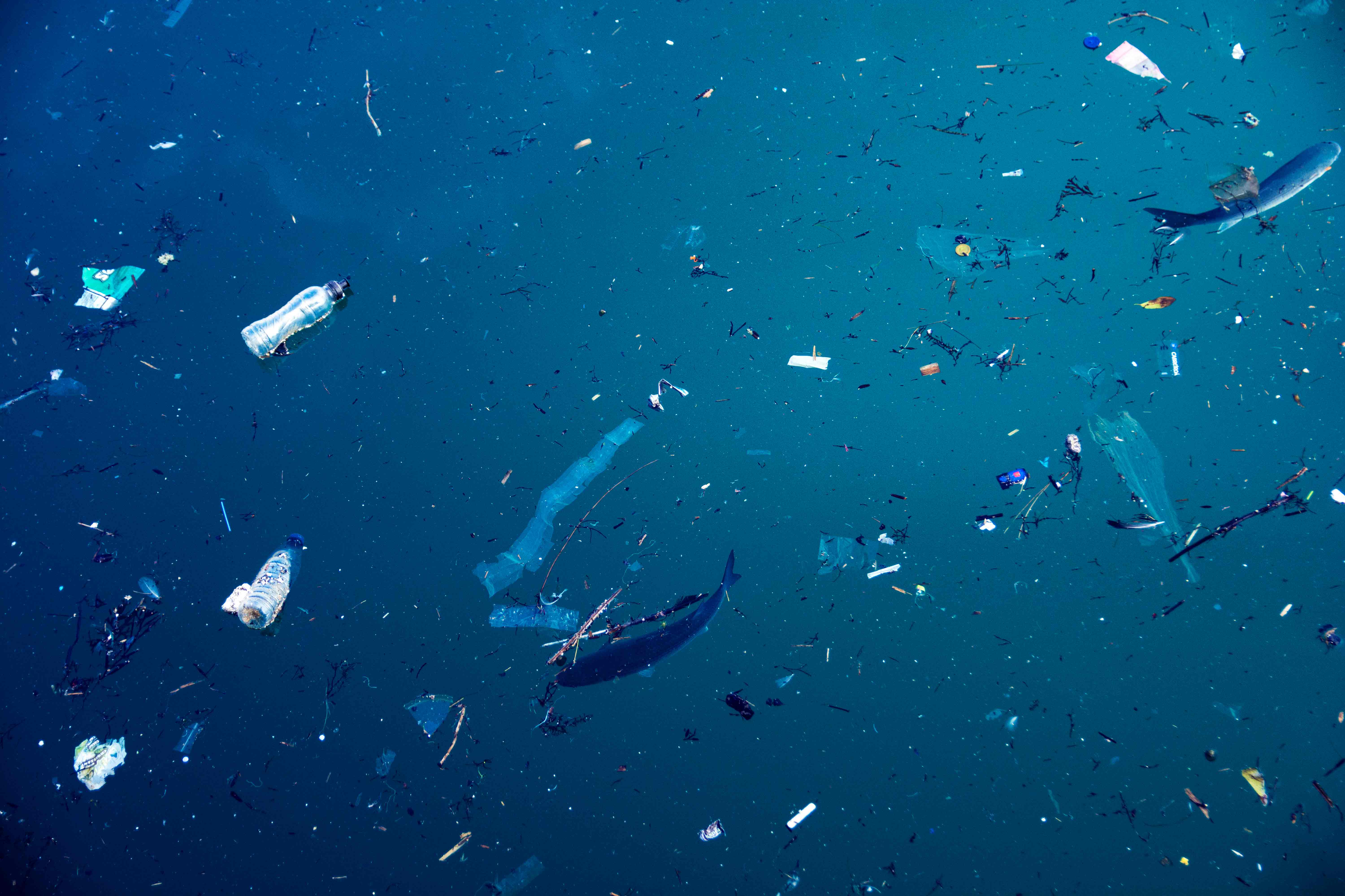 microplasticos_LR.jpg