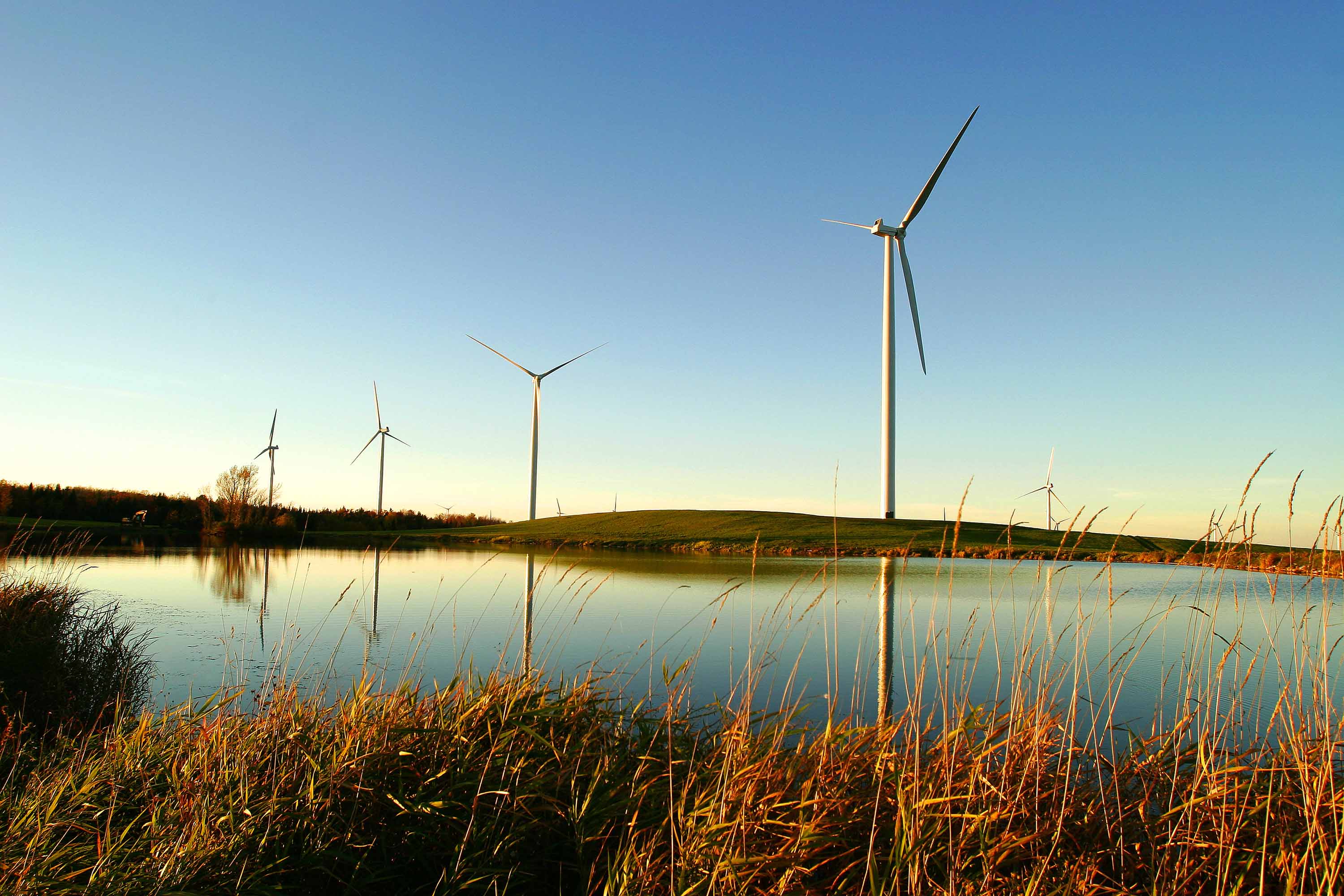 windfarm_marple_ridge_.jpg