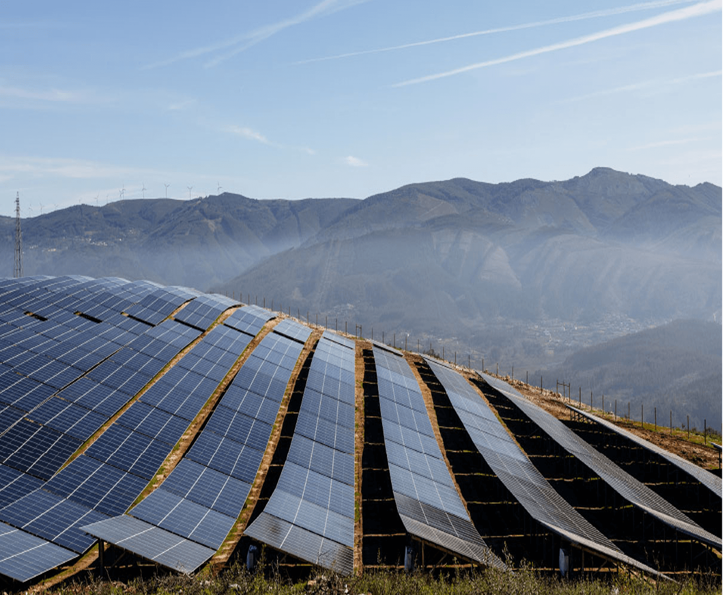 solar panels