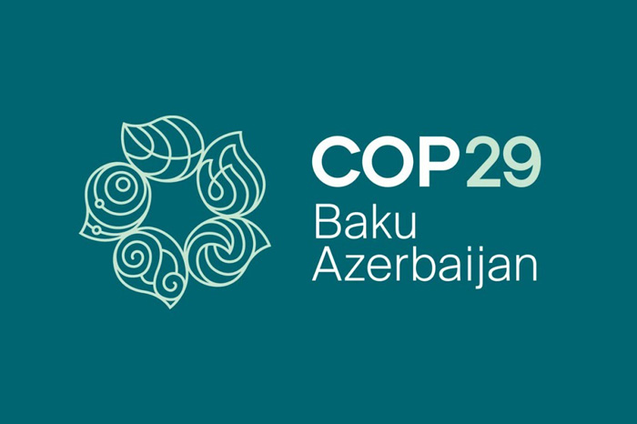COP29 photo