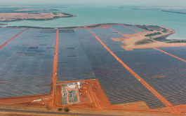 Photo of Pereira Barreto solar project in Brazil
