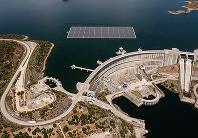 Distinctive and resilient portfolio visual