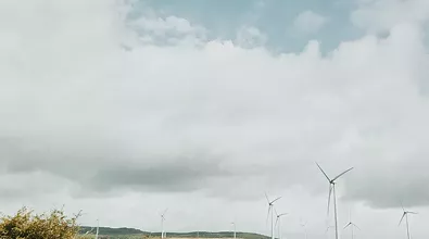 wind