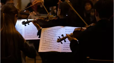 violin