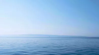 sea web