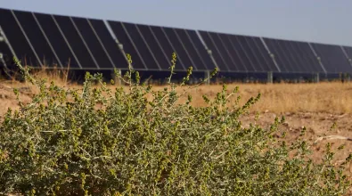Solar%20Carmel_banner.jpg Solar%20Carmel_banner.jpg
