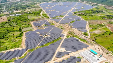 vast area covered by solar panels and flanked by trees