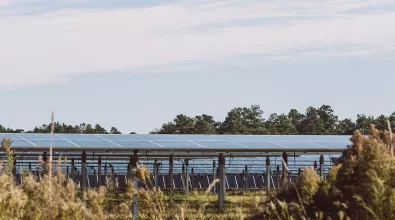 solar_banner_grass_web.jpg solar_banner_grass_web.jpg