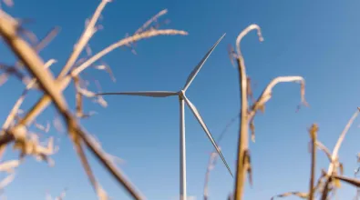wind_turbine_wheat.jpg