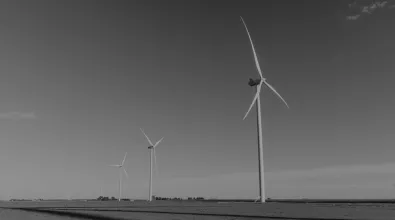 windpage-lasthighlight-bw