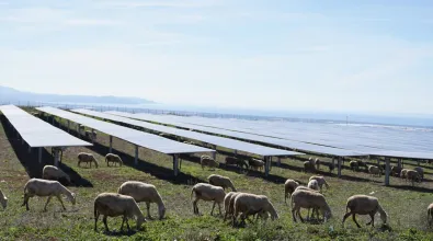 Monti di Eboli Agri PV Plant