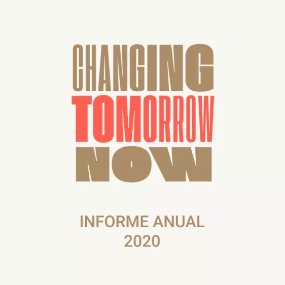 informe anual 2020