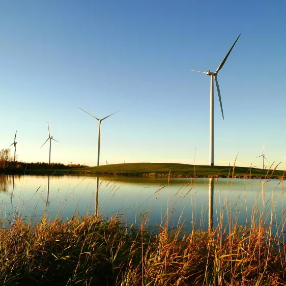 wind farm near a lake