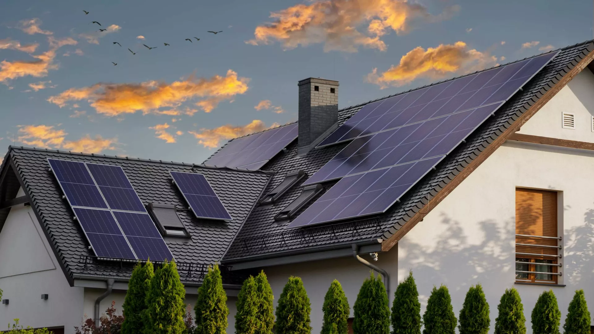distributed%20solar_header%202.jpg distributed%20solar_header%202.jpg