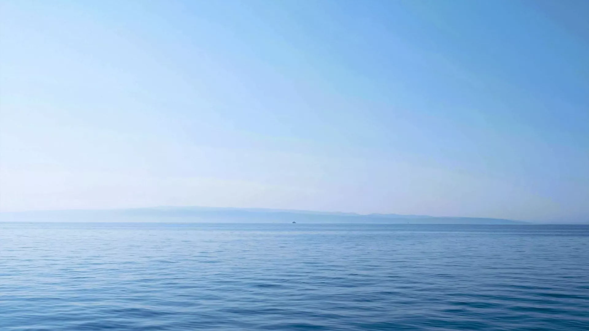 sea web