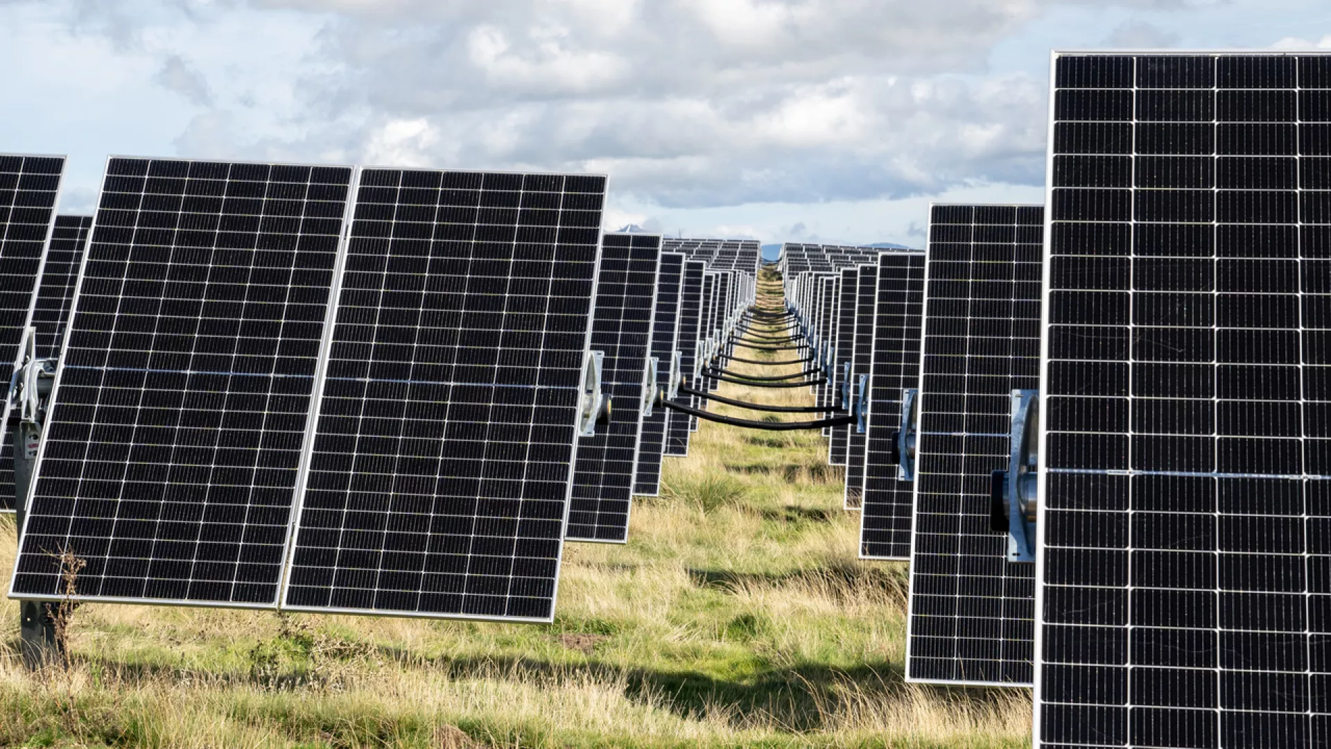 EDPRSolarPark.jpg EDPRSolarPark.jpg