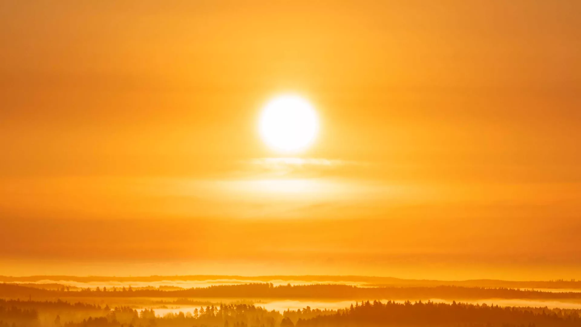 Header-Sol%20%282%29.jpg Header-Sol%20%282%29.jpg
