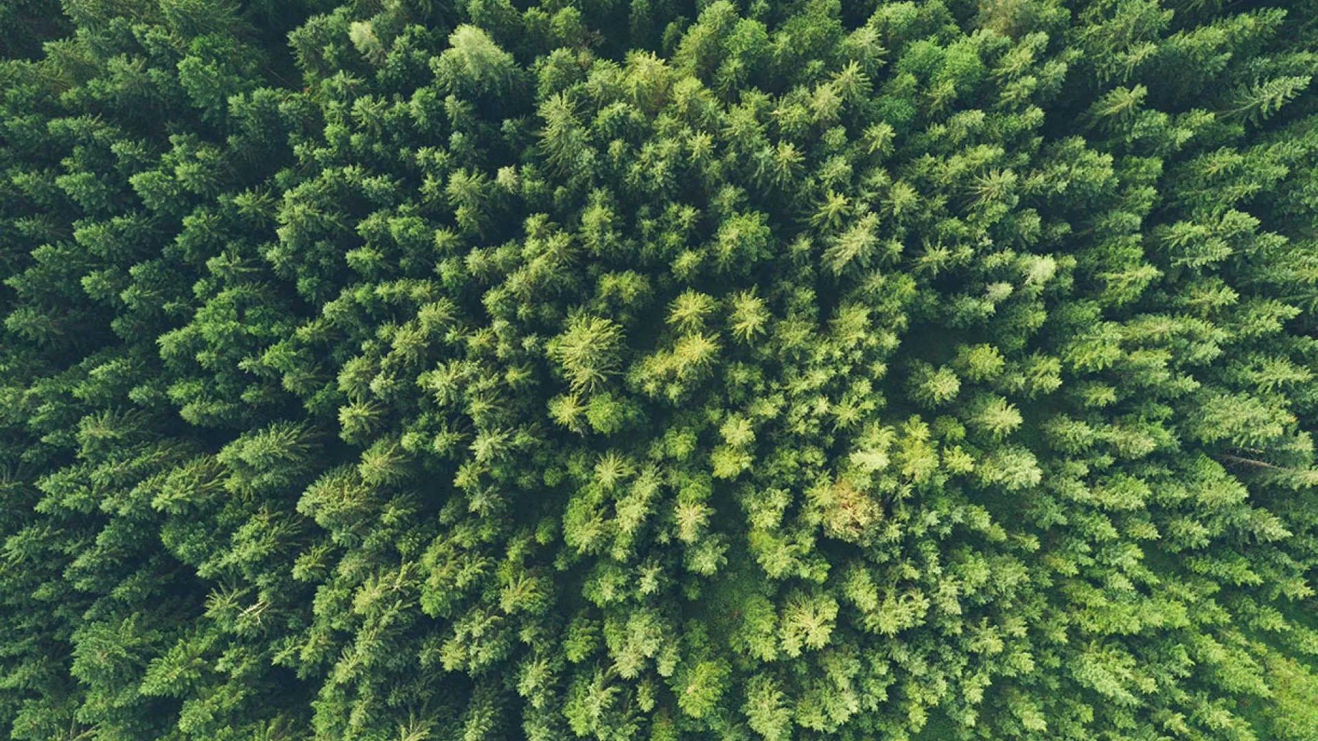 ambiente-sustentabilidade.jpg ambiente-sustentabilidade.jpg