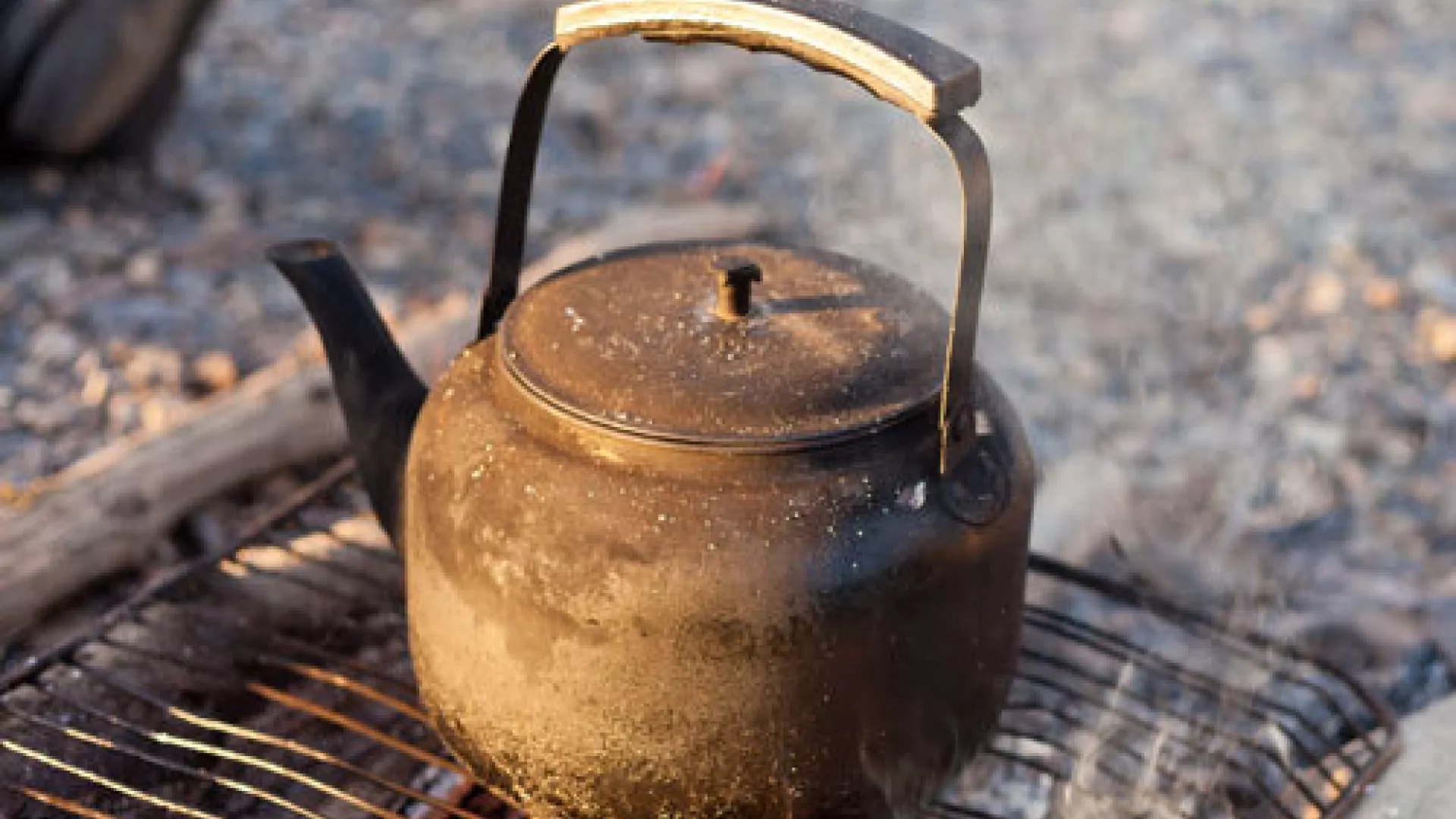 cozinhar carvao