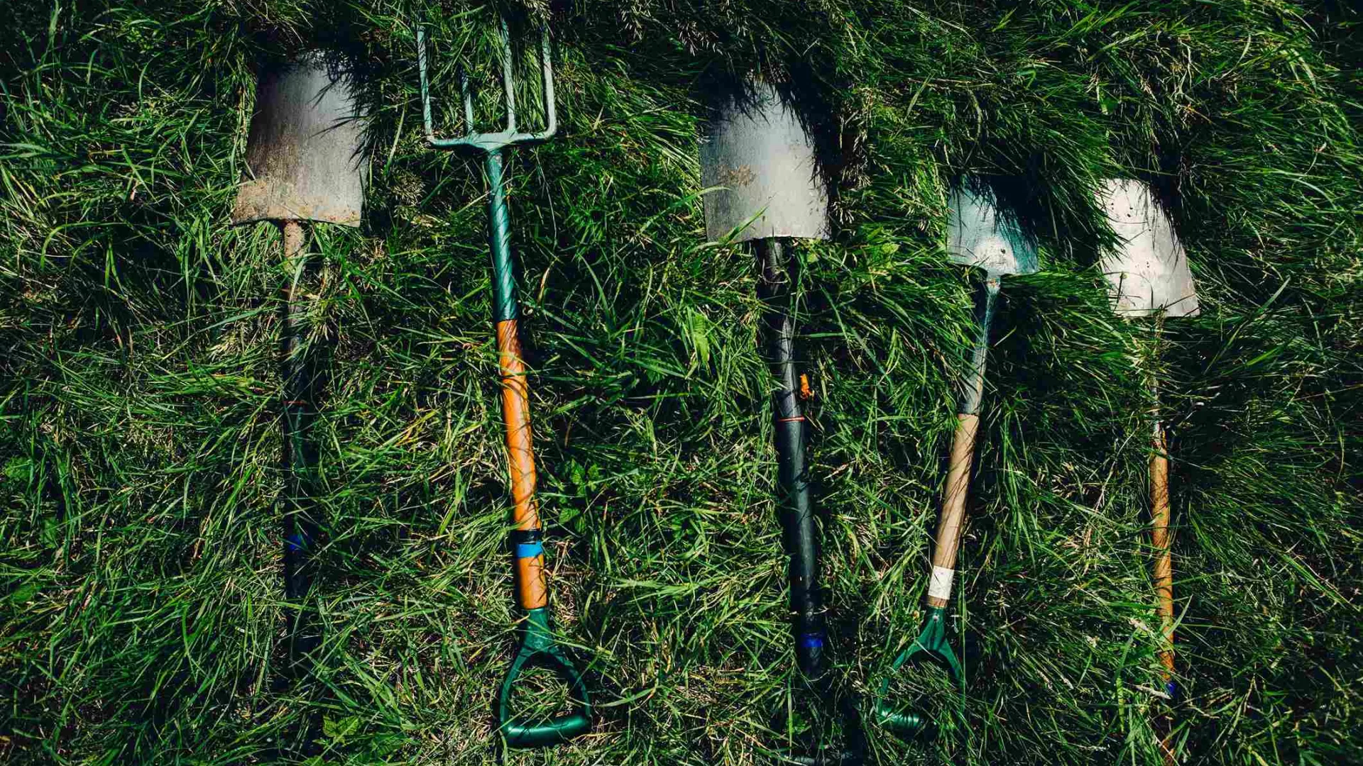 dylan-nolte-dUsmF-F-bJg-unsplash_11zon.jpg dylan-nolte-dUsmF-F-bJg-unsplash_11zon.jpg