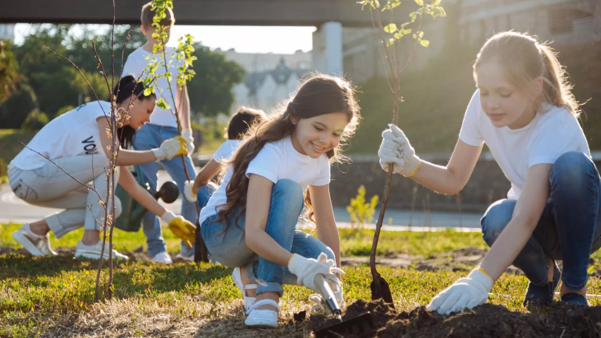 environmental%20volunteering.jpg environmental%20volunteering.jpg