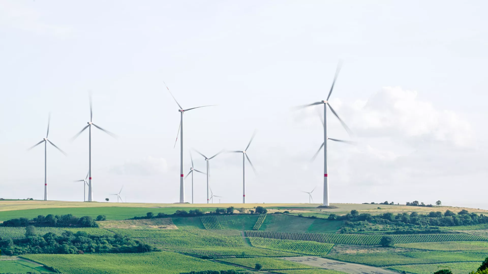 eolicas-edp-energia-renovavels.jpg eolicas-edp-energia-renovavels.jpg