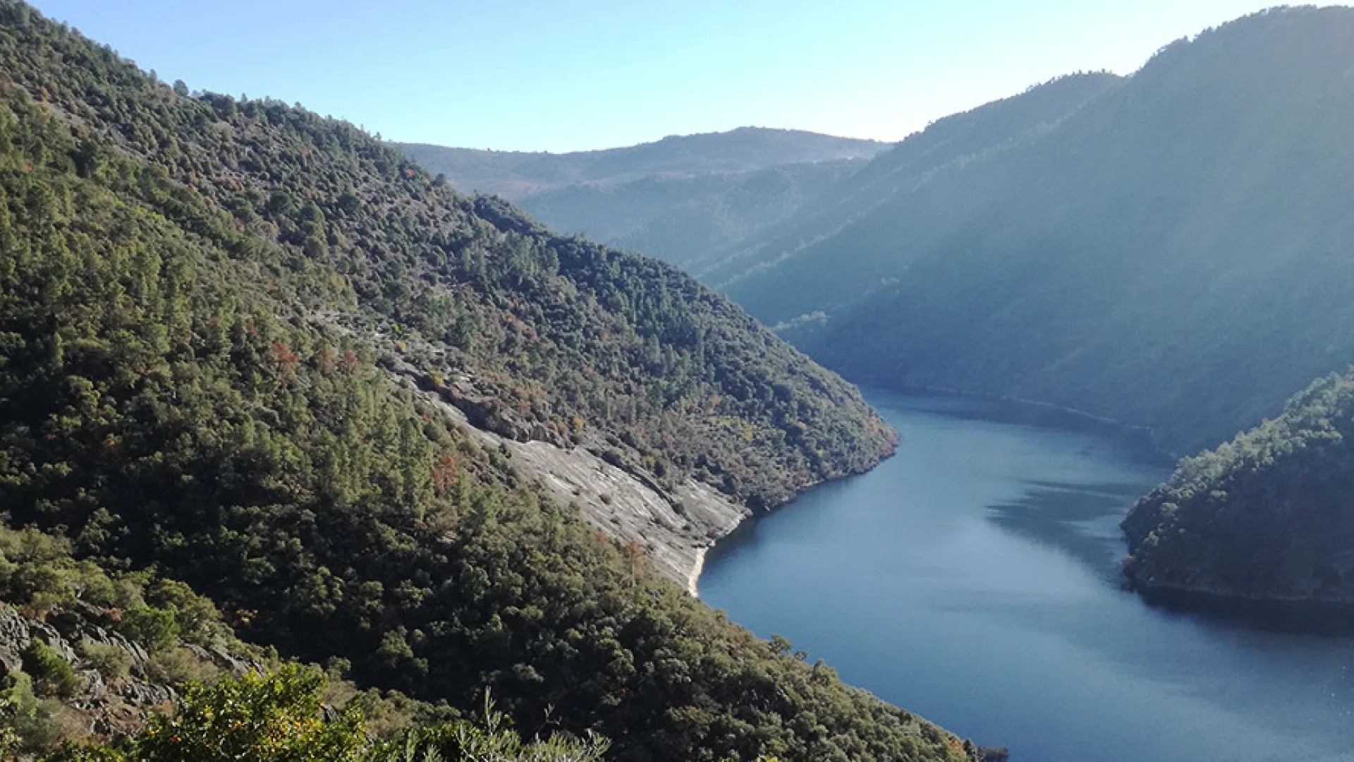 foztua_5_desktop.jpg foztua_5_desktop.jpg