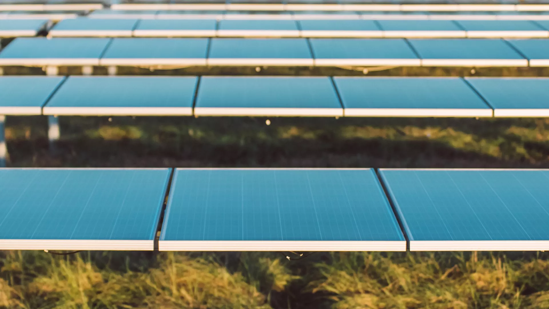 harvest_solar_banner_web.jpg harvest_solar_banner_web.jpg