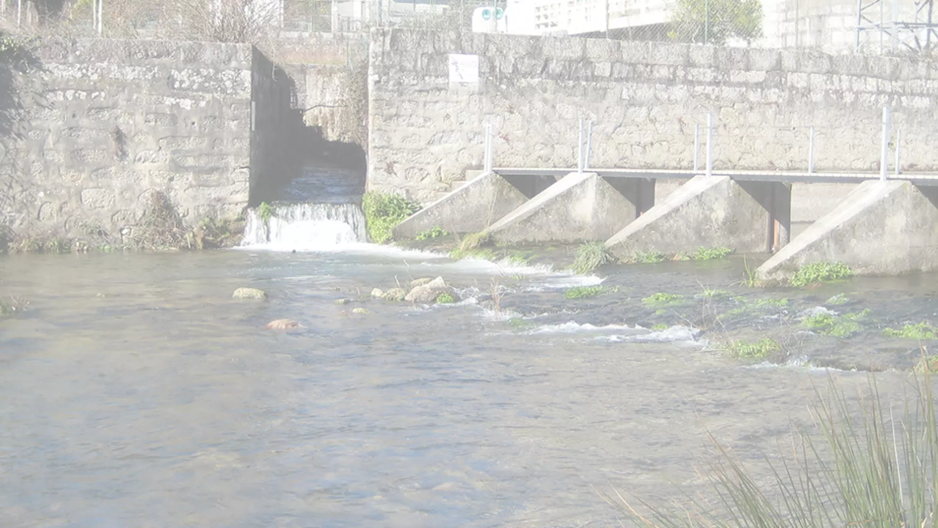 header-ponte-da-esperanca.png header-ponte-da-esperanca.png