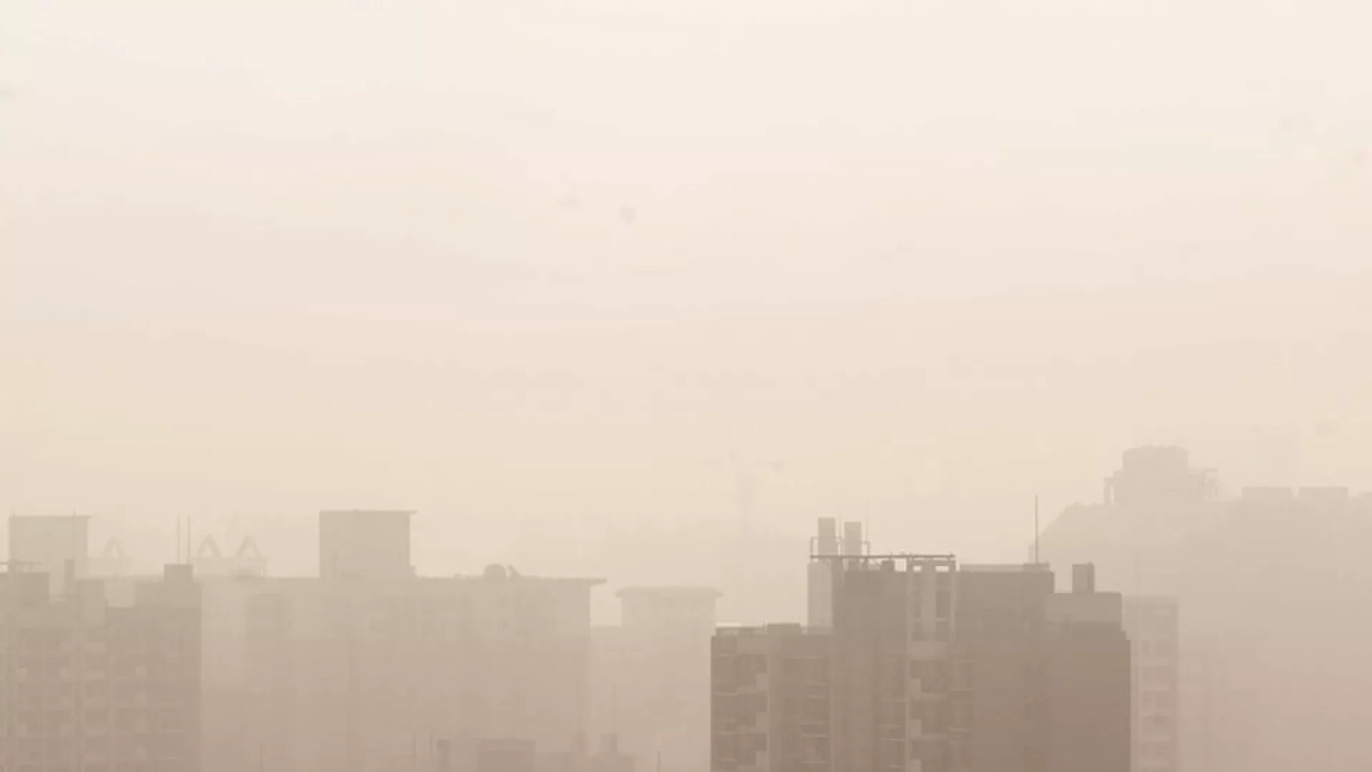 header_particulas_solidas.jpg header_particulas_solidas.jpg