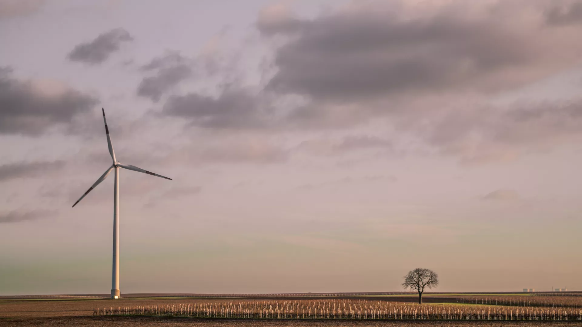karsten-wurth-J46zikTFe7E-unsplash_0.jpg karsten-wurth-J46zikTFe7E-unsplash_0.jpg