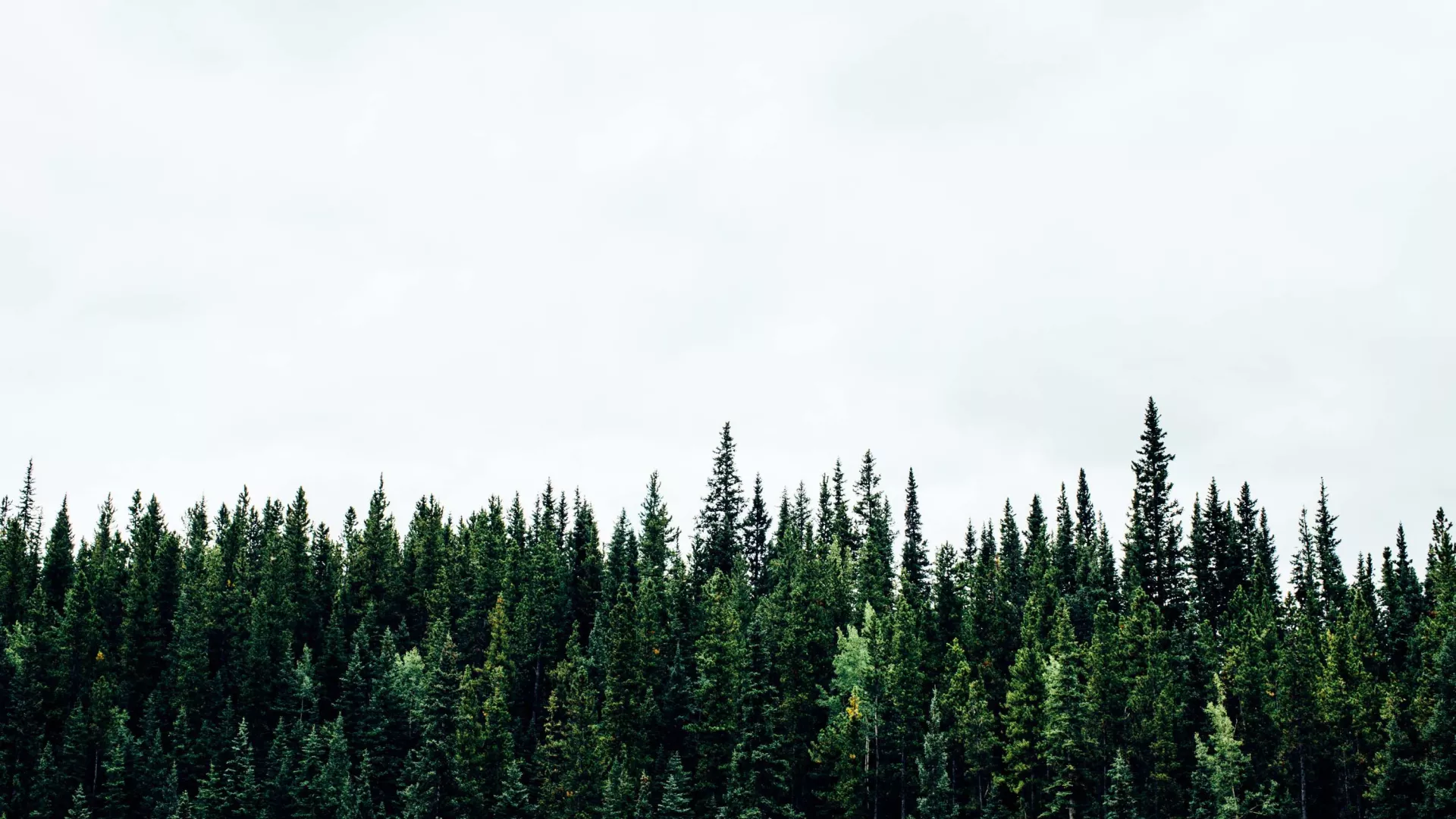 michael-benz-iz2sgqkihm-unsplash_0.jpg michael-benz-iz2sgqkihm-unsplash_0.jpg
