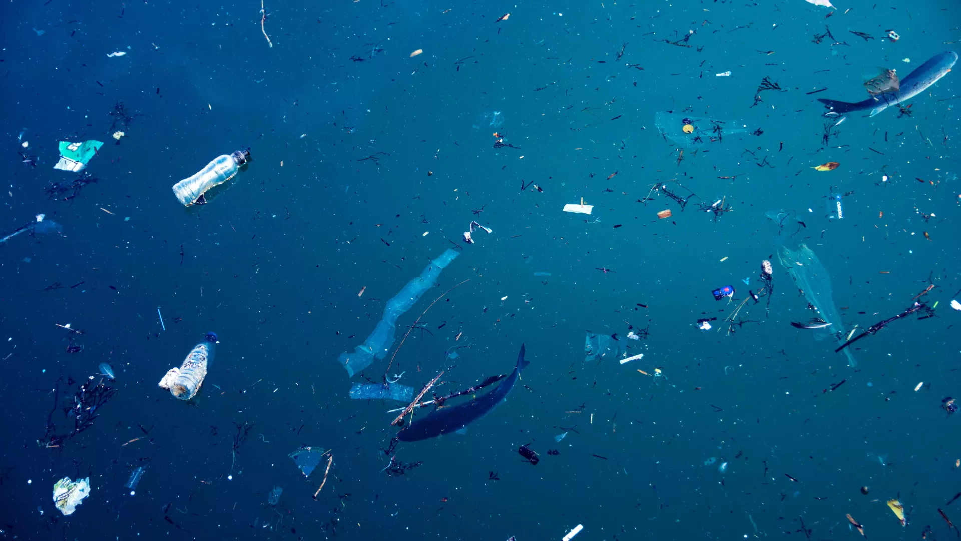microplasticos_LR.jpg microplasticos_LR.jpg