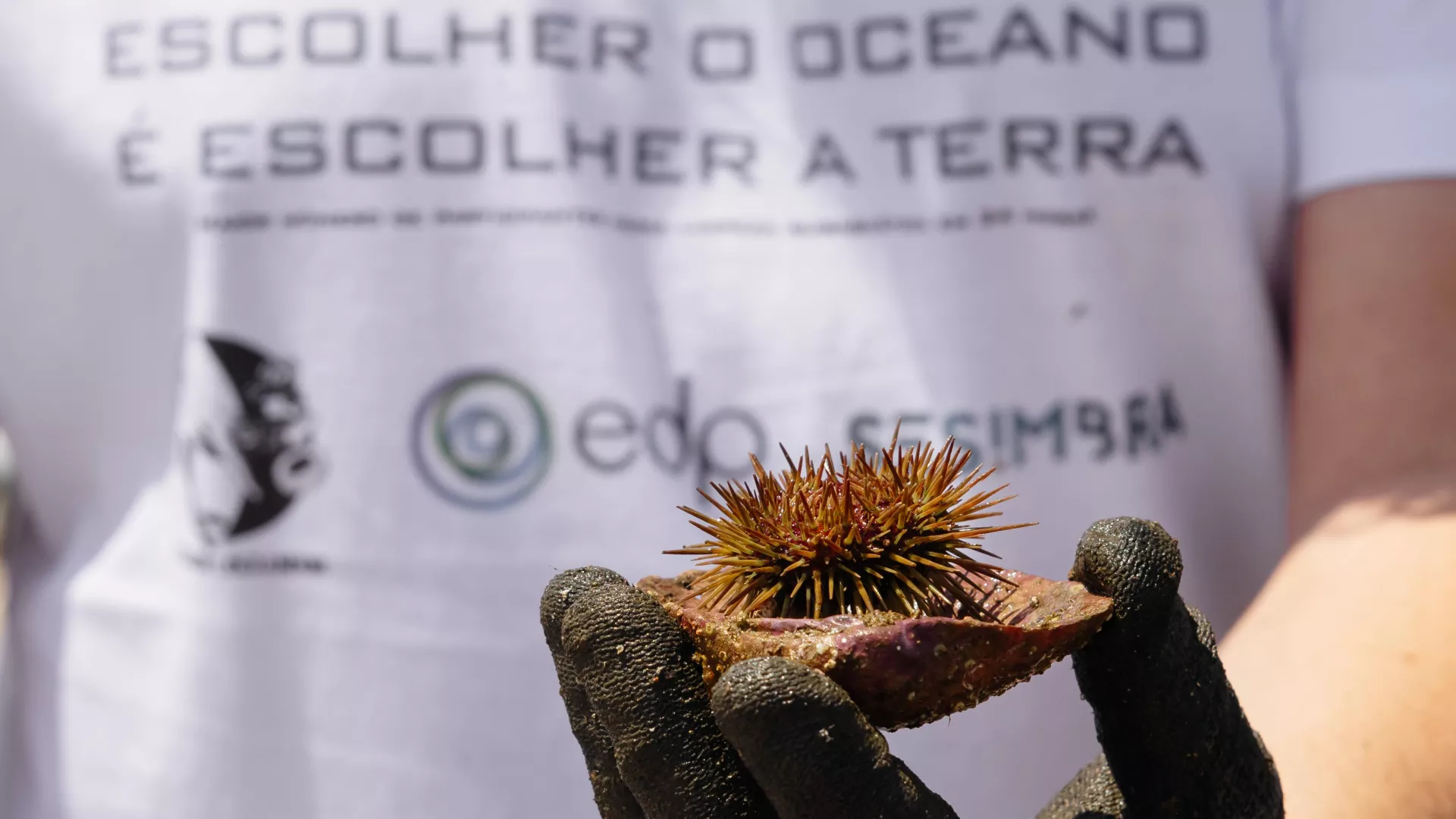 oceano%20%282%29_3.jpg oceano%20%282%29_3.jpg