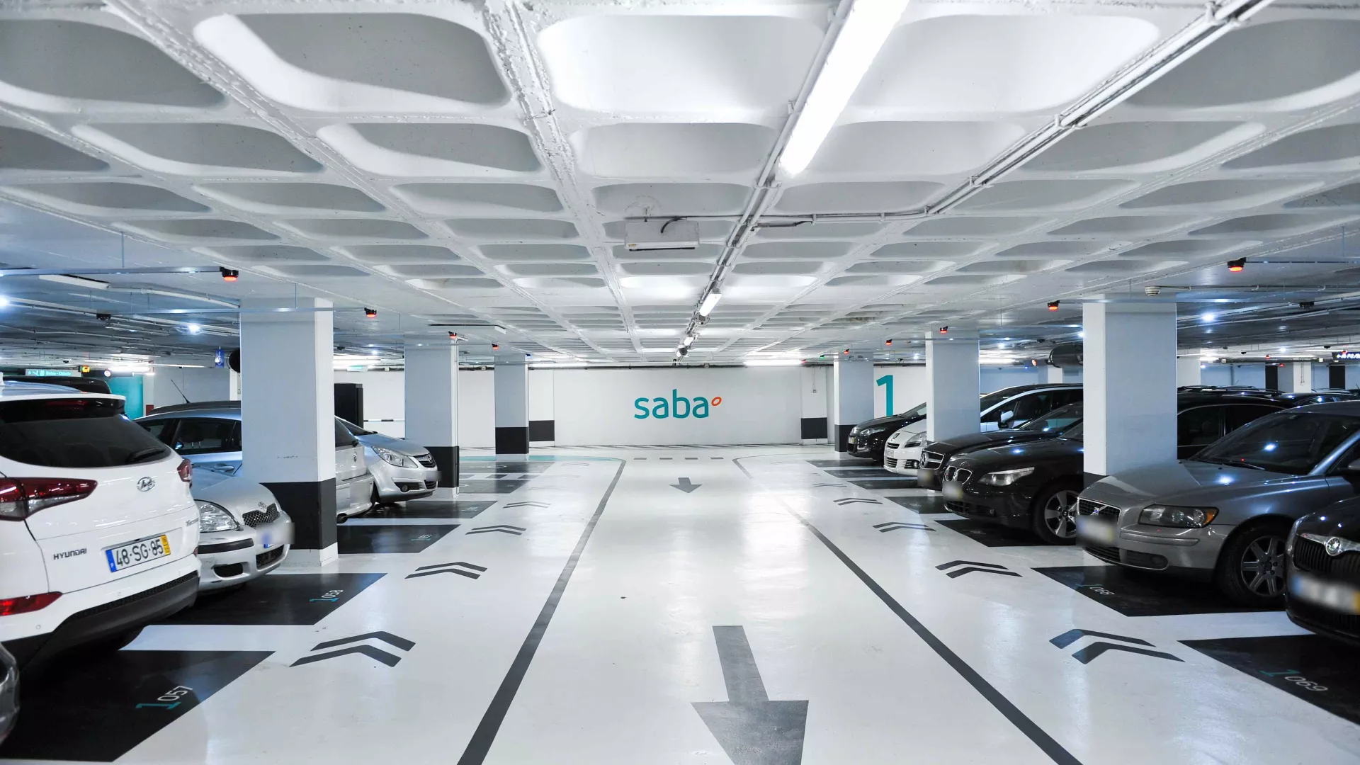 saba_reduzido_6.jpg saba_reduzido_6.jpg