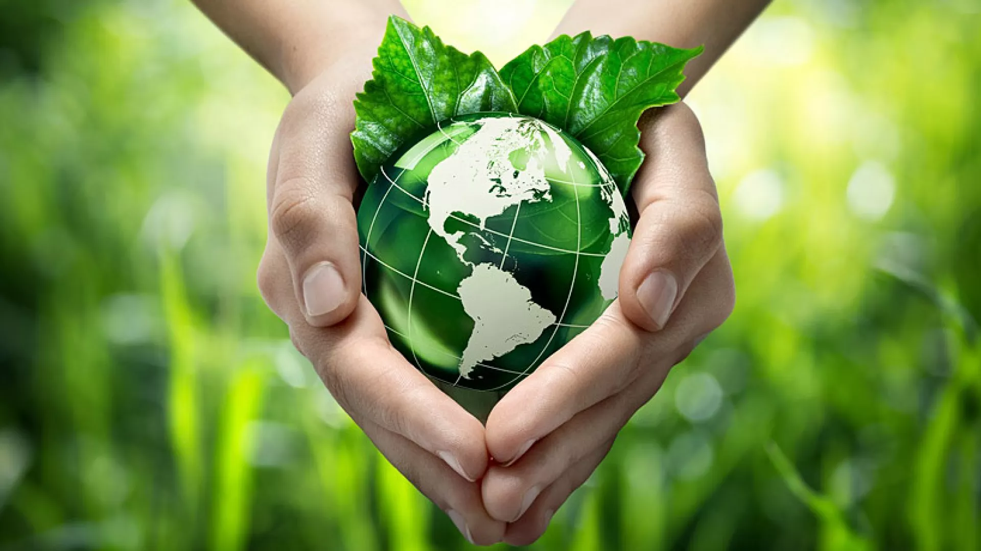 seguridad-ambiental-3_0.jpg seguridad-ambiental-3_0.jpg