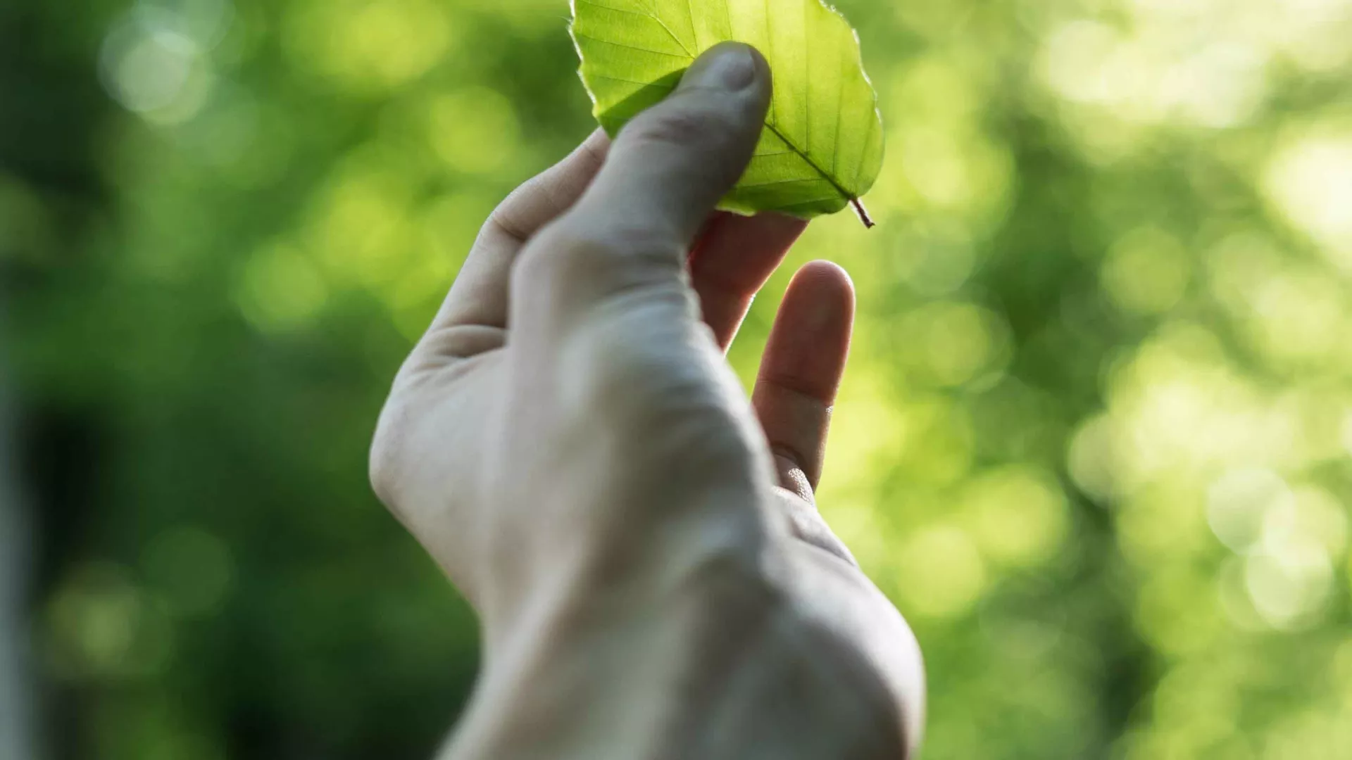 sustentabilidade-natureza-edp.jpg sustentabilidade-natureza-edp.jpg