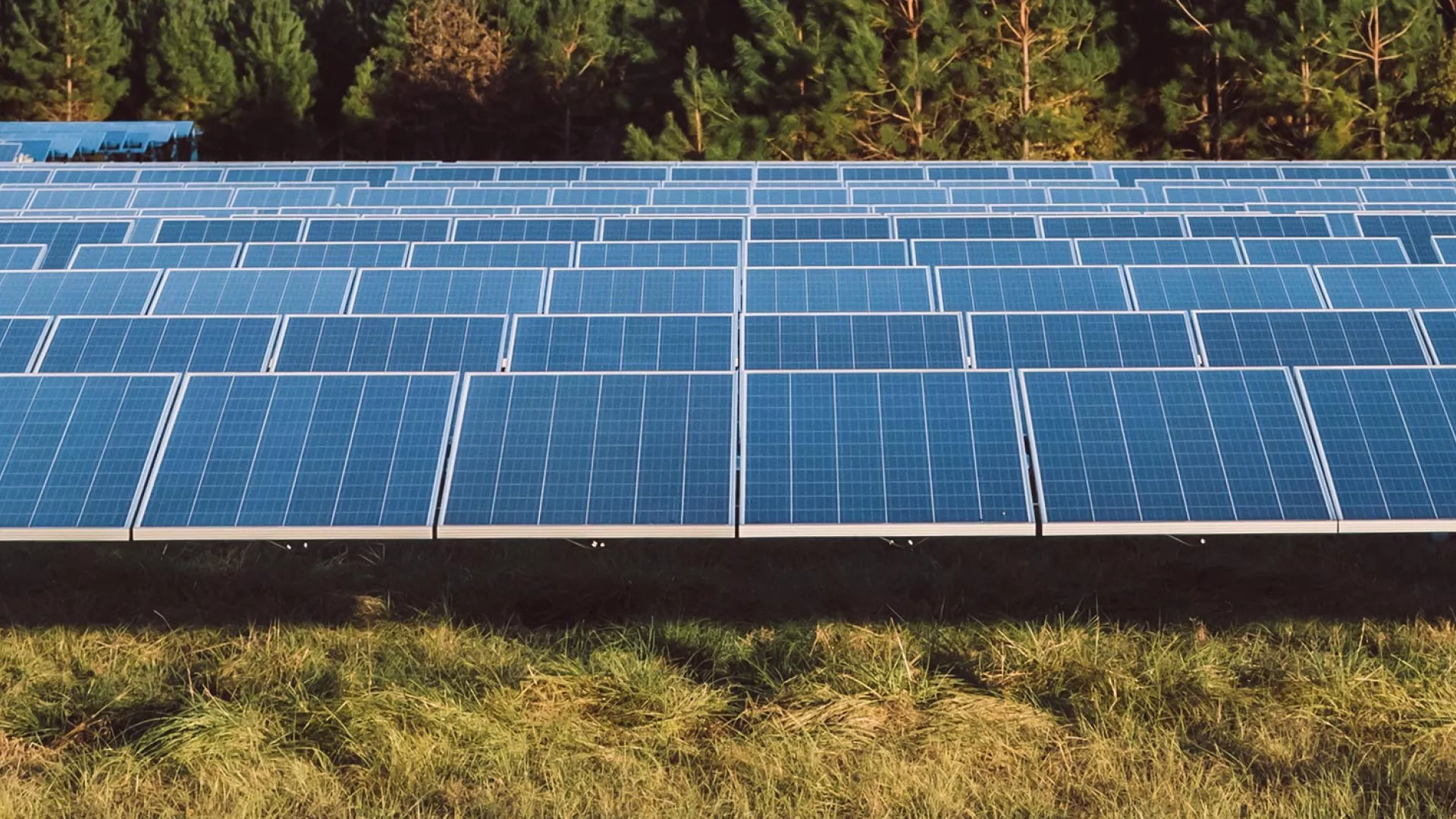 timberroad_solar-banner_web.jpg timberroad_solar-banner_web.jpg