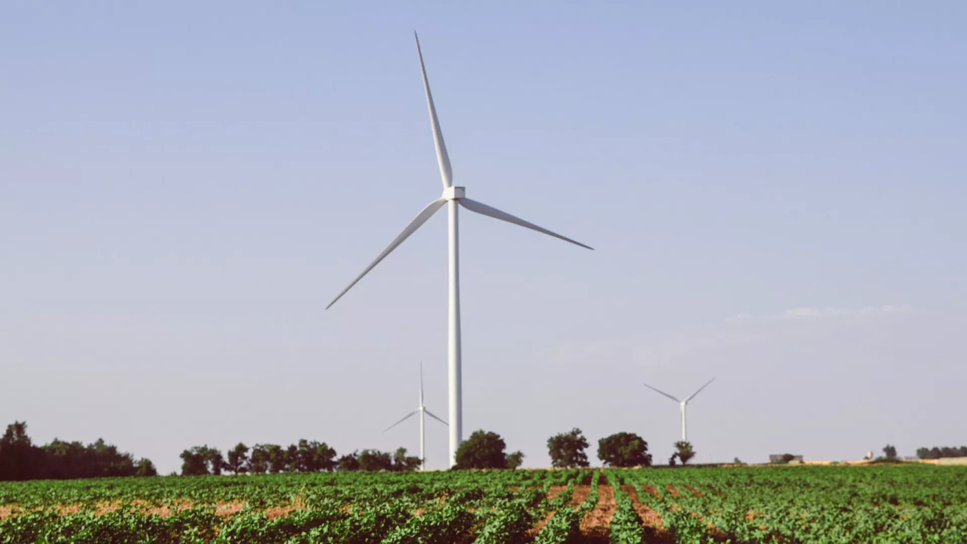 wind_banner_crop_web.jpg wind_banner_crop_web.jpg
