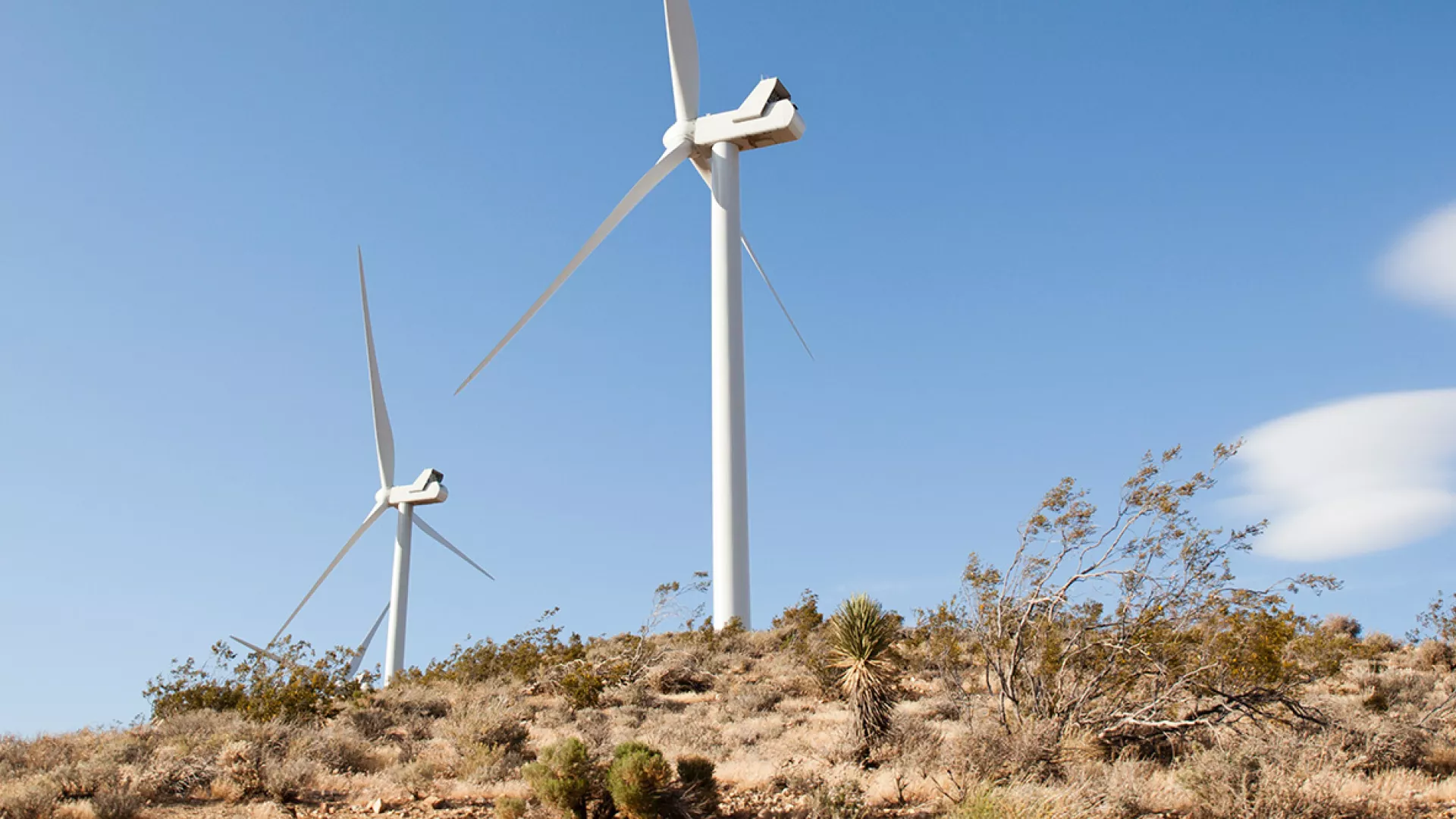 wind_banner_desert_hill_web.jpg wind_banner_desert_hill_web.jpg
