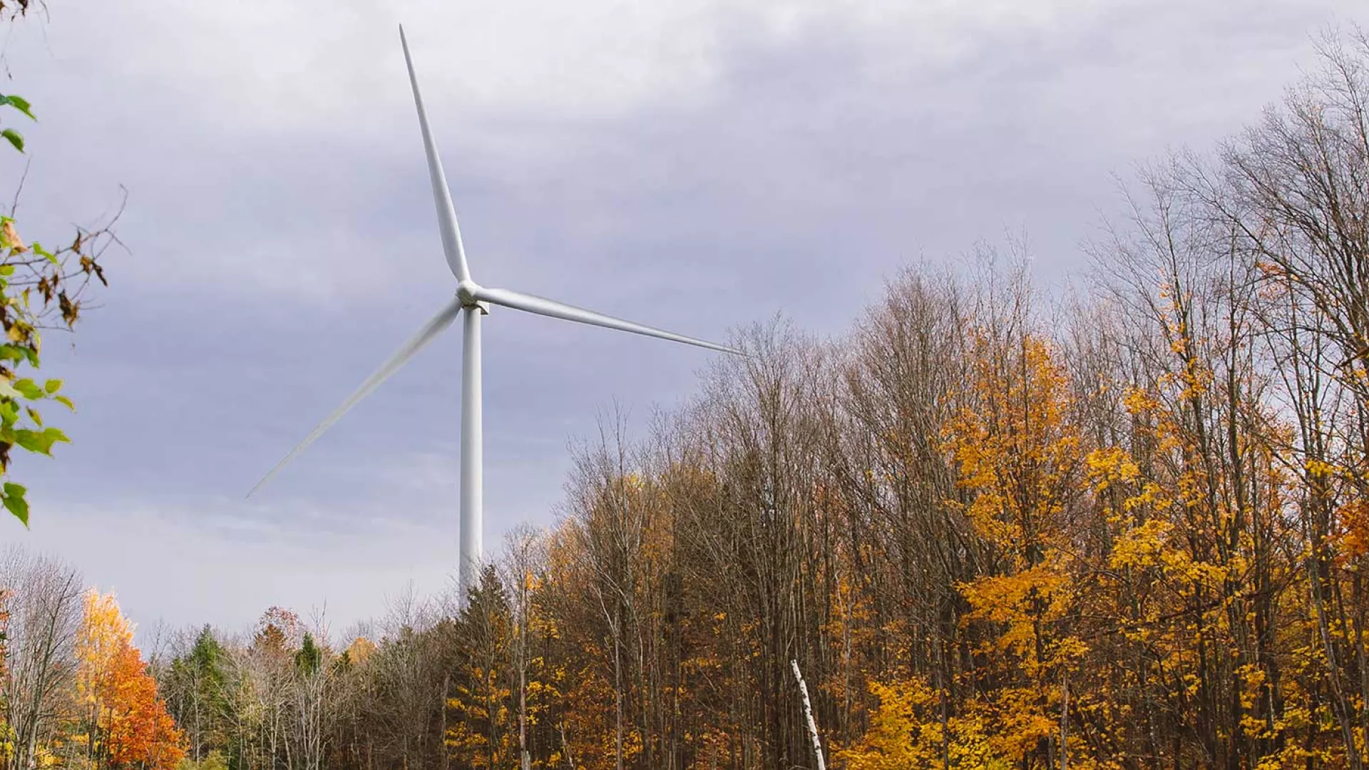 wind_turbine_arkwright_banner_web01.jpg wind_turbine_arkwright_banner_web01.jpg