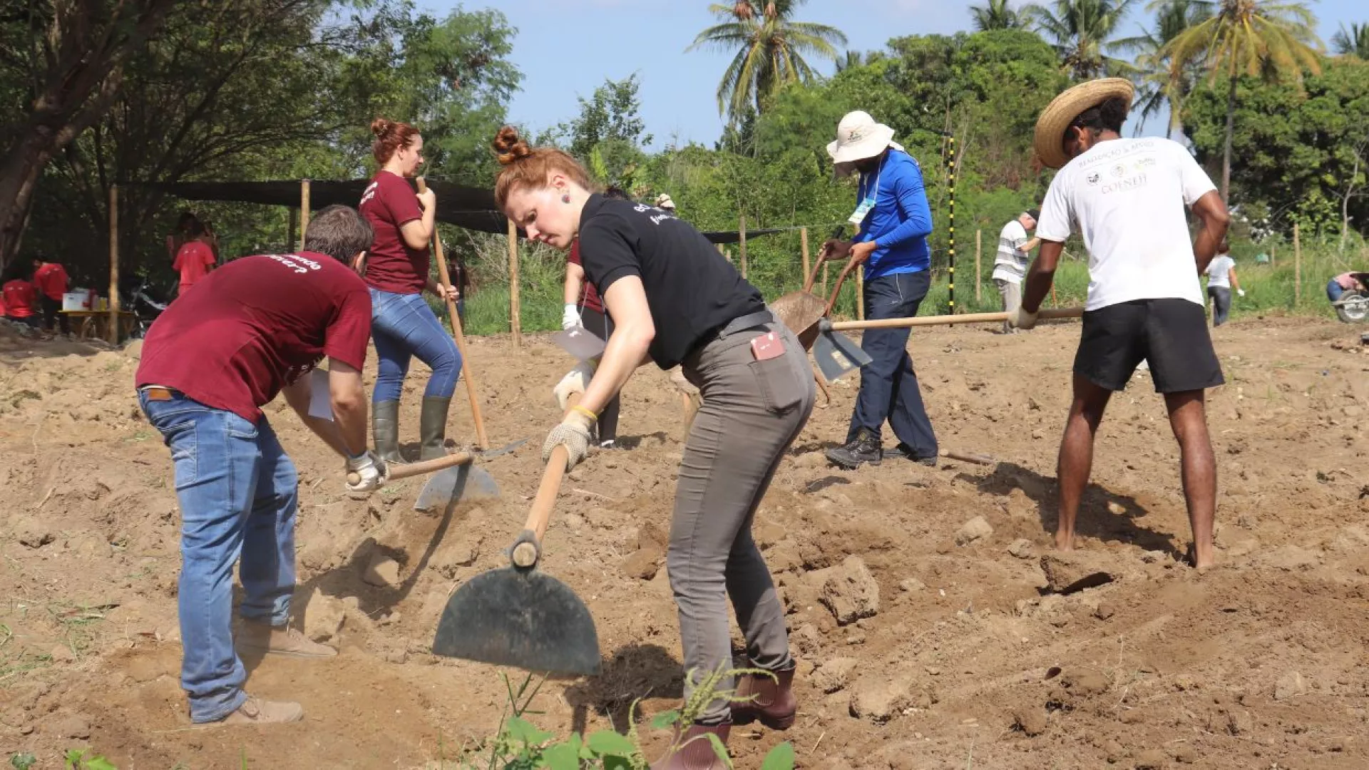 Community%20Vegetable%20Gardens%20Ourimar.jpg Community%20Vegetable%20Gardens%20Ourimar.jpg