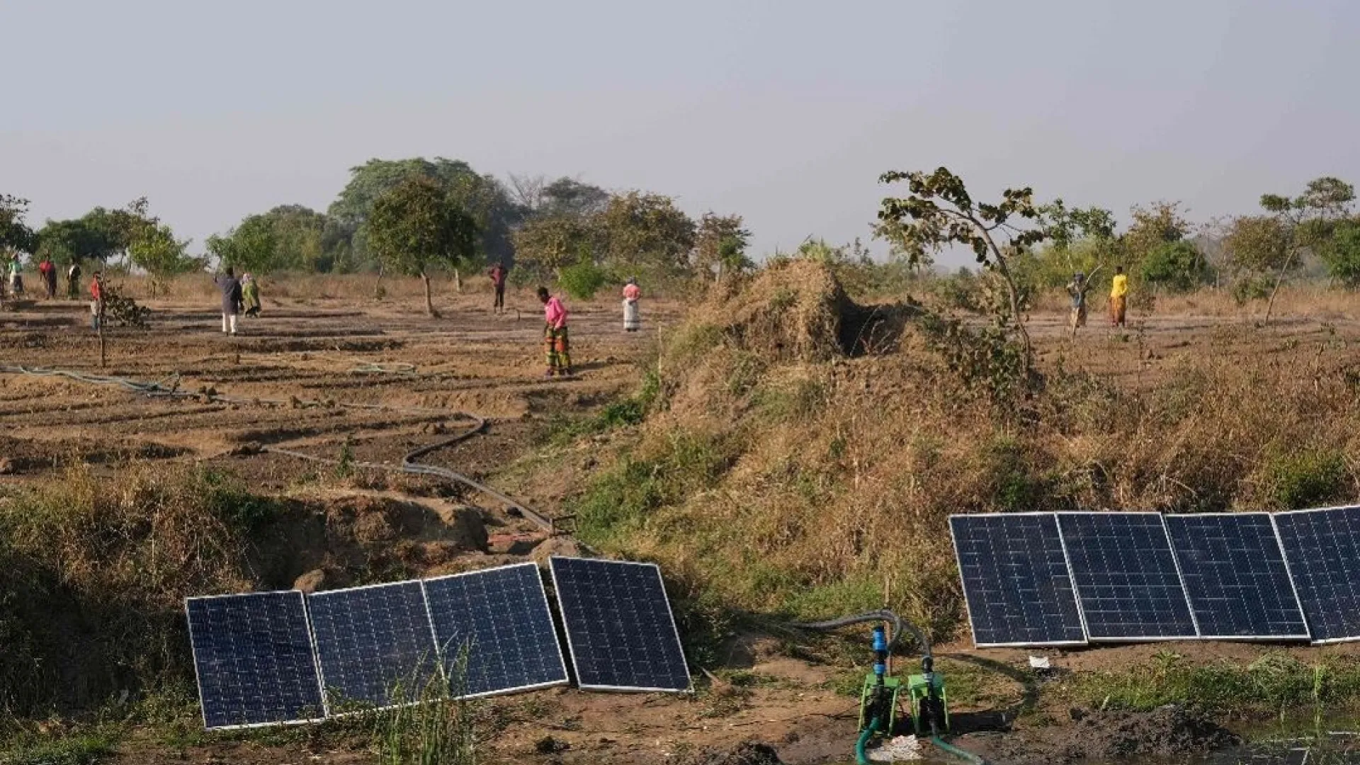 Proyecto%20%C3%81frica%20y%20Brasil_0.jpg Proyecto%20%C3%81frica%20y%20Brasil_0.jpg